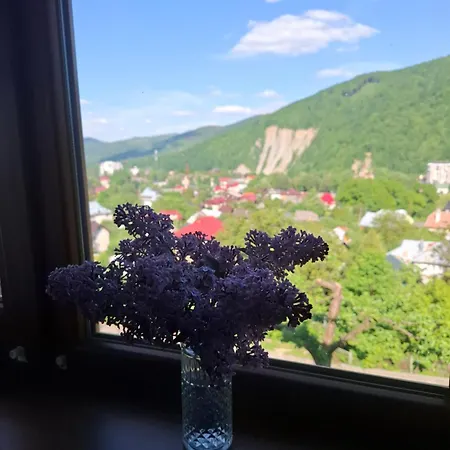 Guest house у миколайчуків