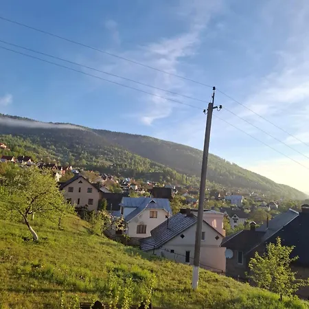 у миколайчуків